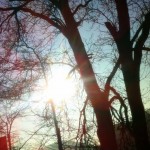 Wanderimpressionen 2011 (I)