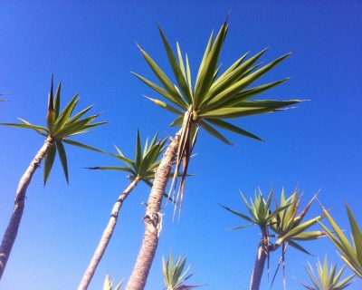 I ♥ Crete