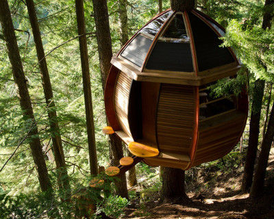 Treehouse: The HemLoft