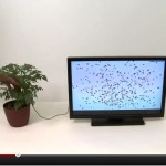 Botanicus Interacticus: Zauberpflanzenadapter!