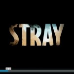Kurzfilm: ‘Stray’