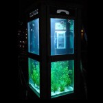  Telefonzelle oder Aquarium?