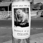 Army of Manul’s! Again!