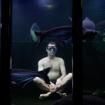 Jack und die Fische