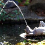 Wasserfontänen! Unglaublich viele! Und so schön! 