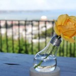 Kickstarter: SynBio-Glühpflanzen